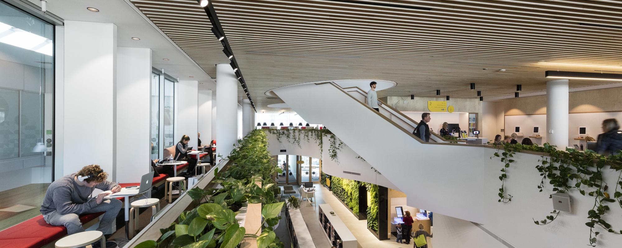 Internal view of building with plants and stairs